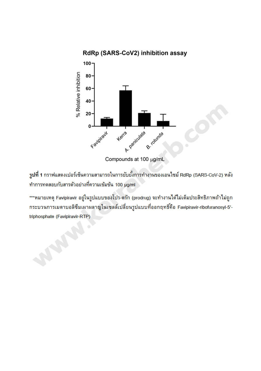 RdRp-ของ-Kerra - kerra ยาเคอร่า
